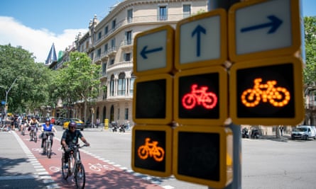 Bisiklet yolunun yanındaki bisiklet trafik ışığı.