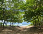 From barren shores to green oases: how a surfer looking for shade ended up transforming Costa Rica’s coastline