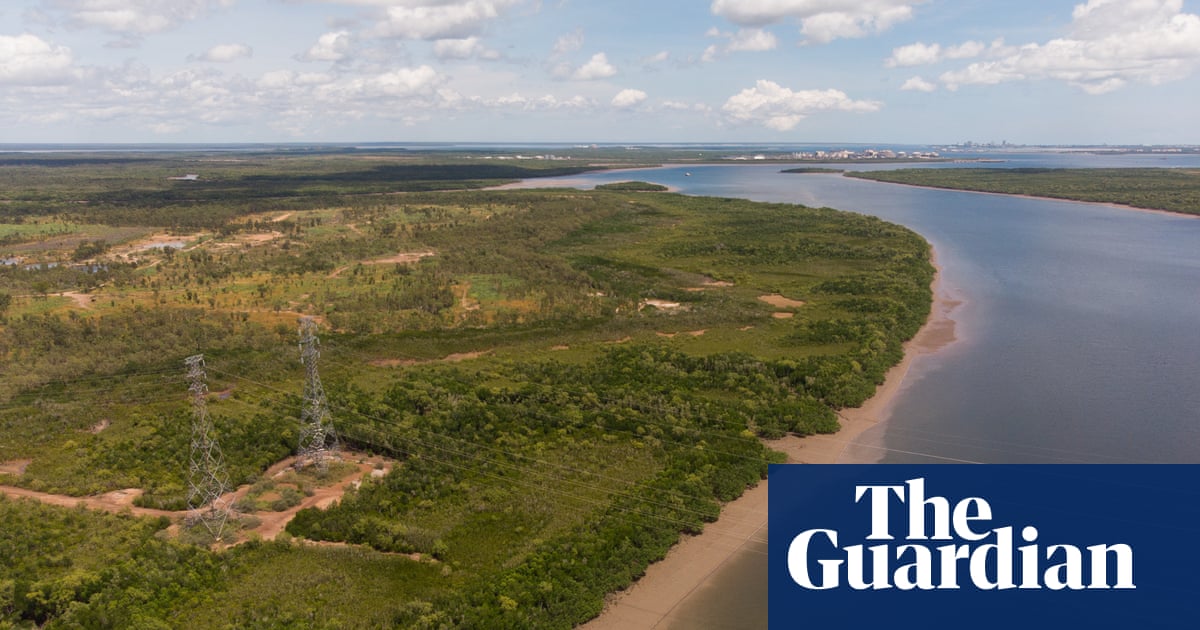 Charles Darwin University asked inquiry not to publish staff submissions critical of its support for harbour project | Environment