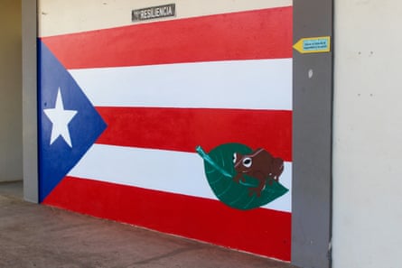 A mural on a wall in El Coquí elementary school, in Salinas, Puerto Rico.