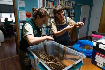 Taryn Smith from Taronga and Allie Anderson from Norfolk Island National Park look at snails
