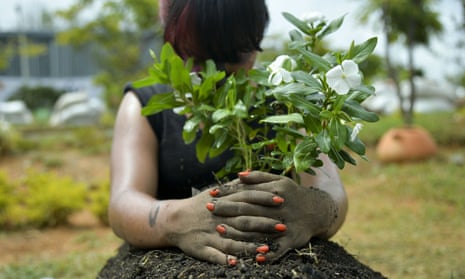 A woman with bowed head clasps her hands around the base of a young shrub with white flowers planted in a mound of earth which covers the woman up to her waist.