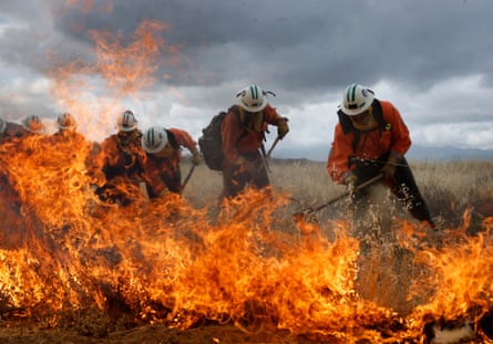 A wildfire in California