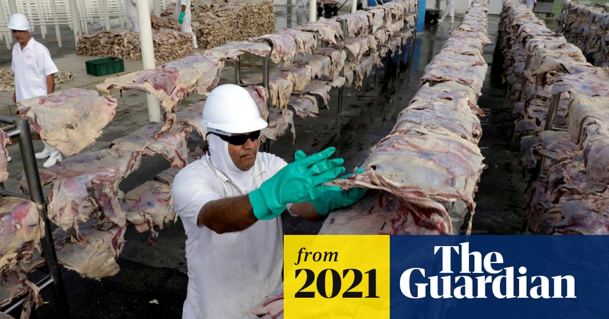 World’s biggest meat producer JBS pays 11m cybercrime ransom Food