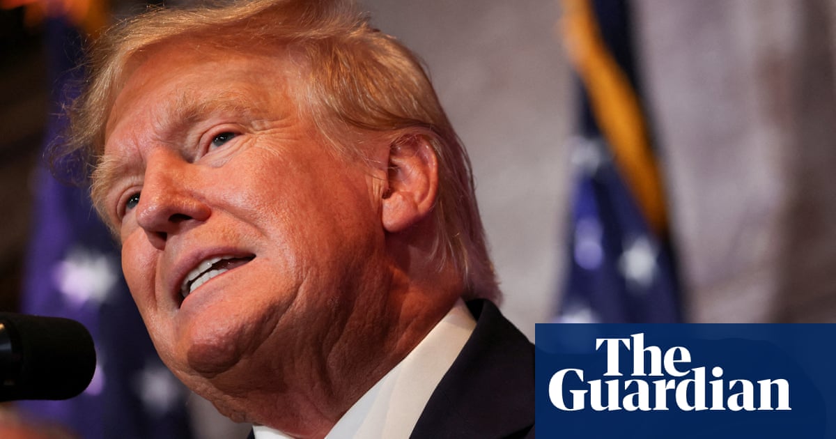 Prosecutors likened Trump to mob boss and had to prove he wasn’t insane - book