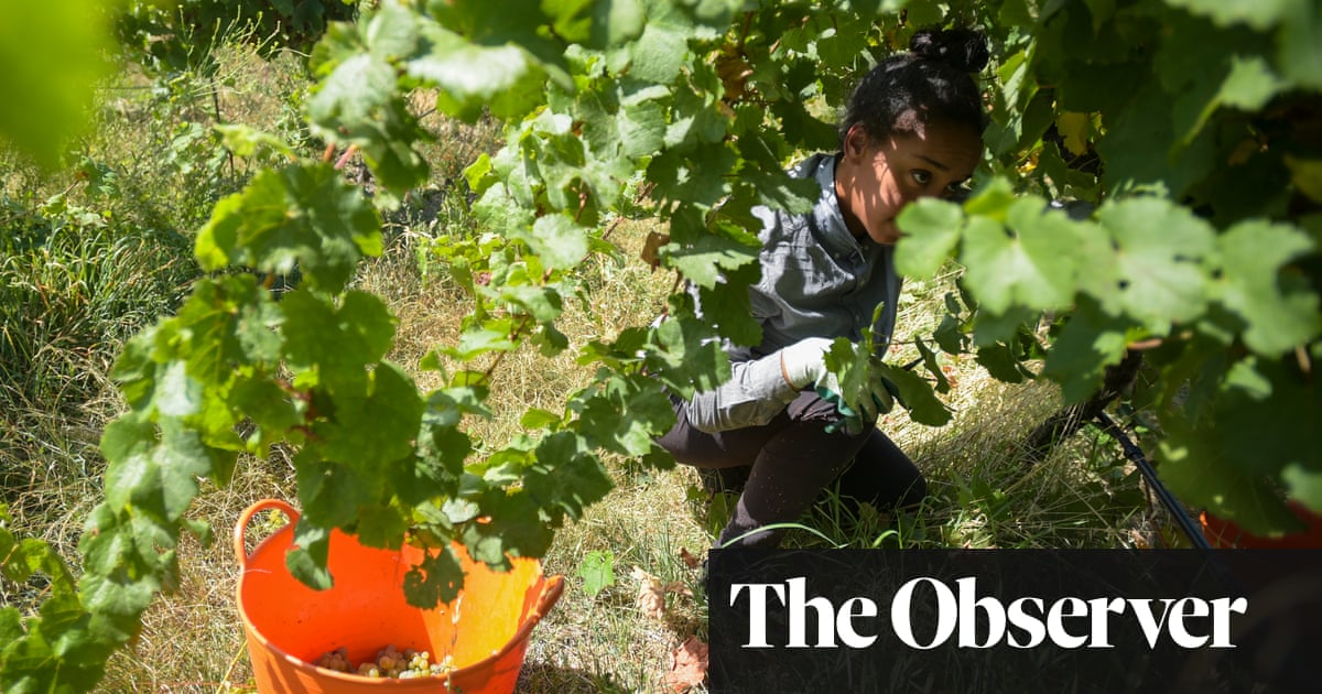 Riesling With Sushi Unexpectedly Excellent Wine And Food