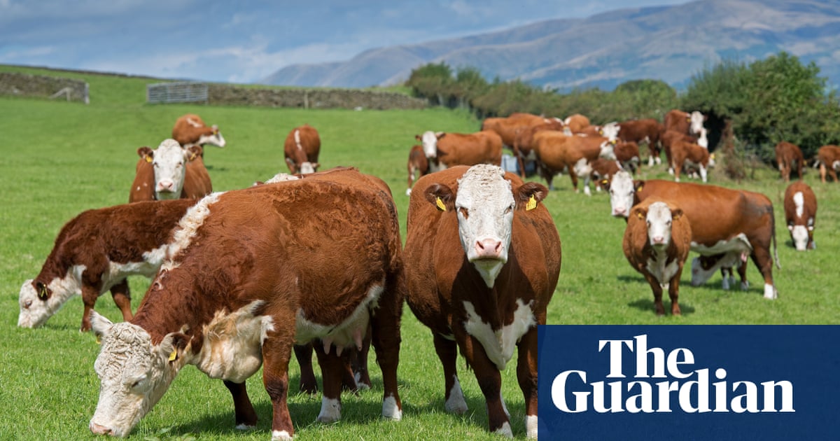 england-must-reduce-meat-intake-to-avoid-climate-breakdown-says-food-tsar