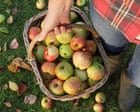 My mum died this year. And the glut of apples from her tree has brought with it a new kind of grief | Zoe Williams