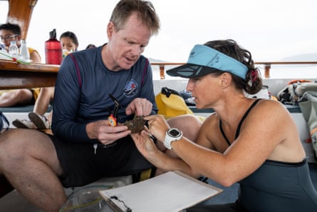 Bayden Russell and a colleague, Marine Thomas, study oysters in Hong Kong.