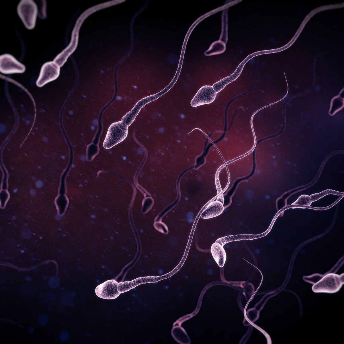 lack of sperm with ejaculation