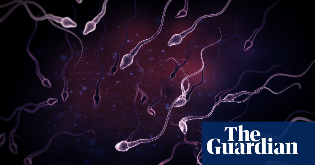 Cocktail of chemical pollutants linked to falling sperm quality in research