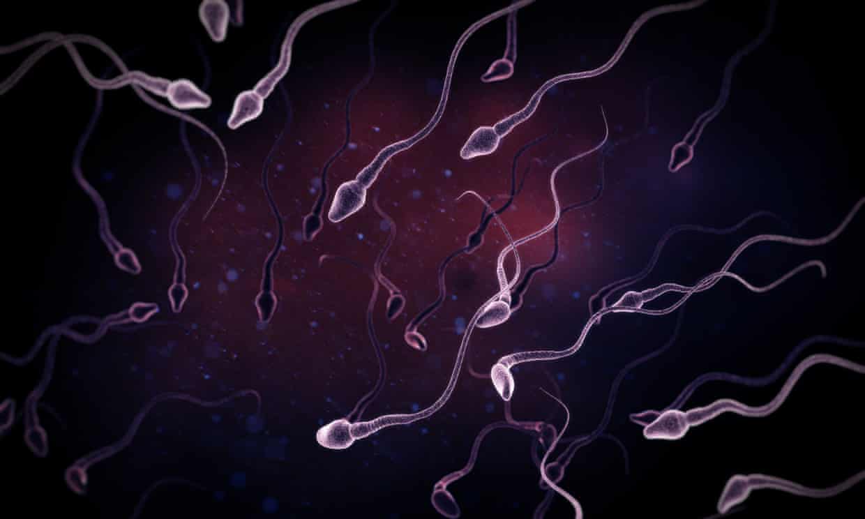 <div class=__reading__mode__extracted__imagecaption>There had been an alarming decline in sperm counts and concentration in western countries over decades, the scientists said. Photograph: The Science Picture Company/Alamy<br>There had been an alarming decline in sperm counts and concentration in western countries over decades, the scientists said. Photograph: The Science Picture Company/Alamy</div>