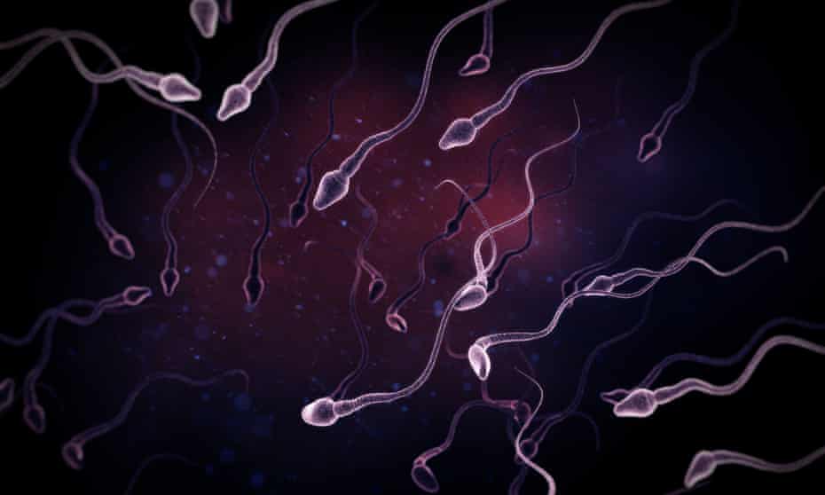 Icsi is normally used to help couples conceive when the man has a low sperm count, or where there are abnormalities in the shape or movement of the sperm. 