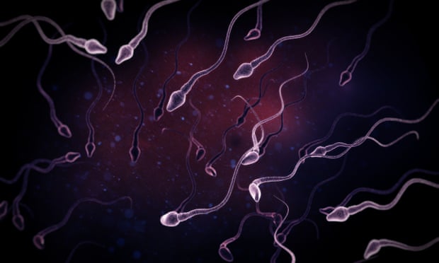 Every animal’s sperm has evolved to meet the needs of the individual animal that produces it.