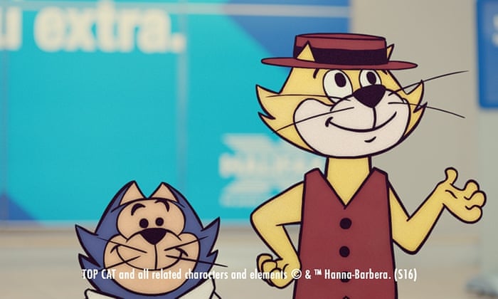 Top Cat S Back To Give A Little Extra Help To The Halifax Media