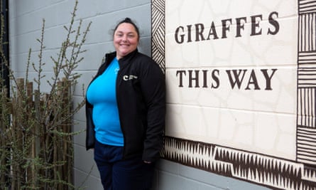 Chester zoo unveils £28m ‘Africa’ facility – complete with chilly giraffes (1) Chester zoo unveils £28m ‘Africa’ facility – complete with chilly giraffes (1)