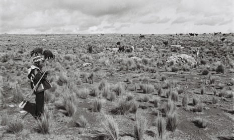 Limbert, 10, altiplano Bolivia 2015