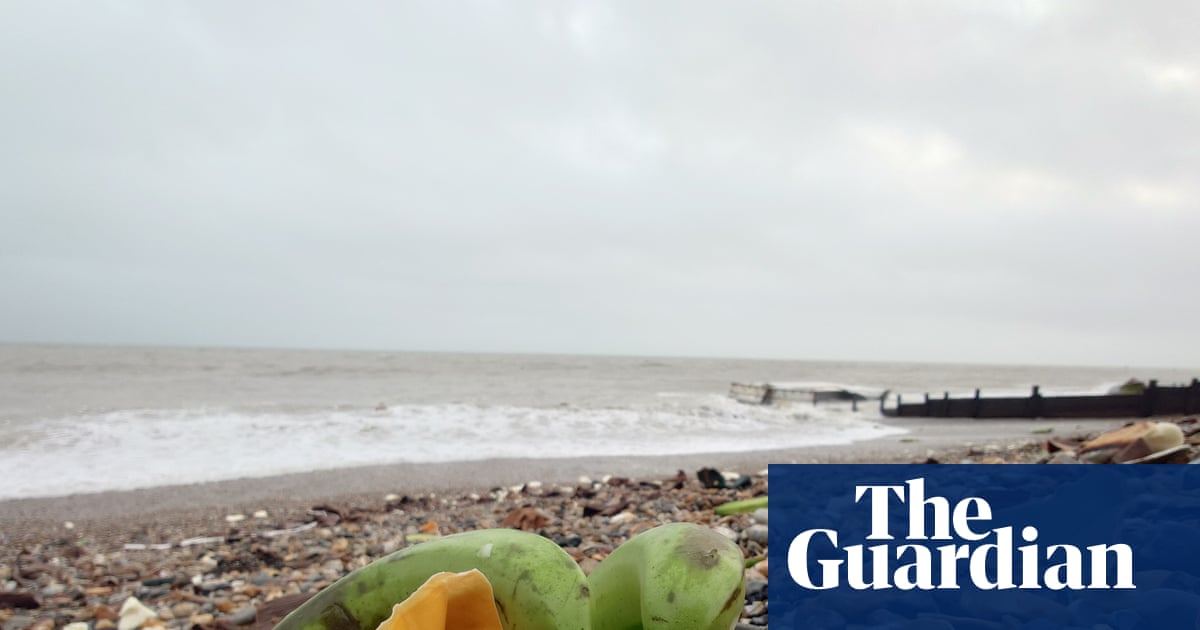 Public urged to stay away after ship containers of bananas wash up in West Sussex