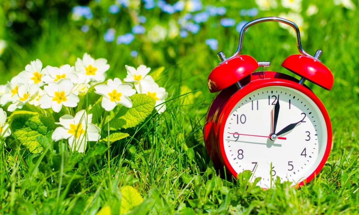 When Does Daylight Saving Start in New Zealand? When Does Daylight Saving Start in New Zealand?