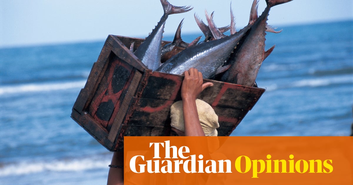 An Essay On Patriotism Overfishing Is As Big A Threat To Humanity As It Is To Our Oceans Dermot Ogorman Guardian Sustainable Business The Guardian Compare Contrast Essay Topics also Nursing Application Essay Sample Overfishing Is As Big A Threat To Humanity As It Is To Our Oceans Science And Technology Essays