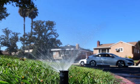 A closeup of a sprinkler watering a green lawn with cars and houses in the background.