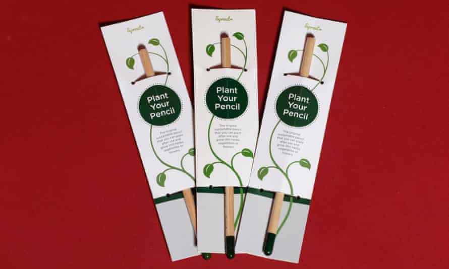 Basil sprout pencils