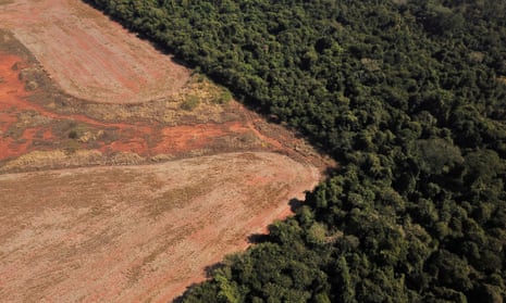 Aerial view of deforestation in Mato Grosso state, Brazil, in July 2021.