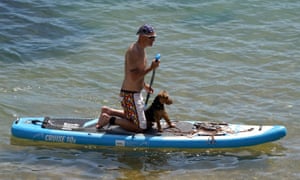 A man paddles with his dog in Dorset