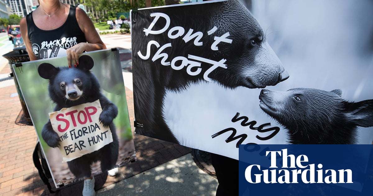 Barbaric': wildlife advocates criticize Florida bear hunt proposal