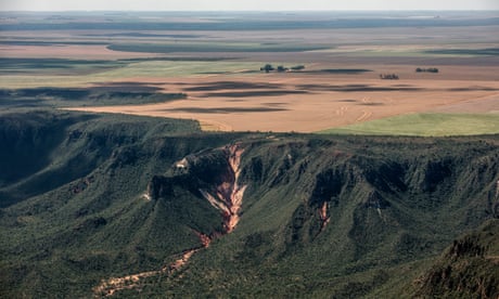 The region between the Brazilian states of Maranhão, Tocantins, Piauí and Bahia is considered the showcase of the country’s agribusiness