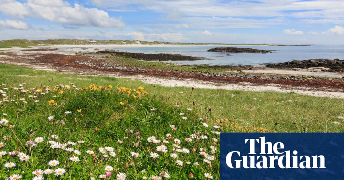 'The impact is tremendous': readers on wildflower verges