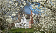 Damson blossom at the National Trust’s Brockhampton Estate