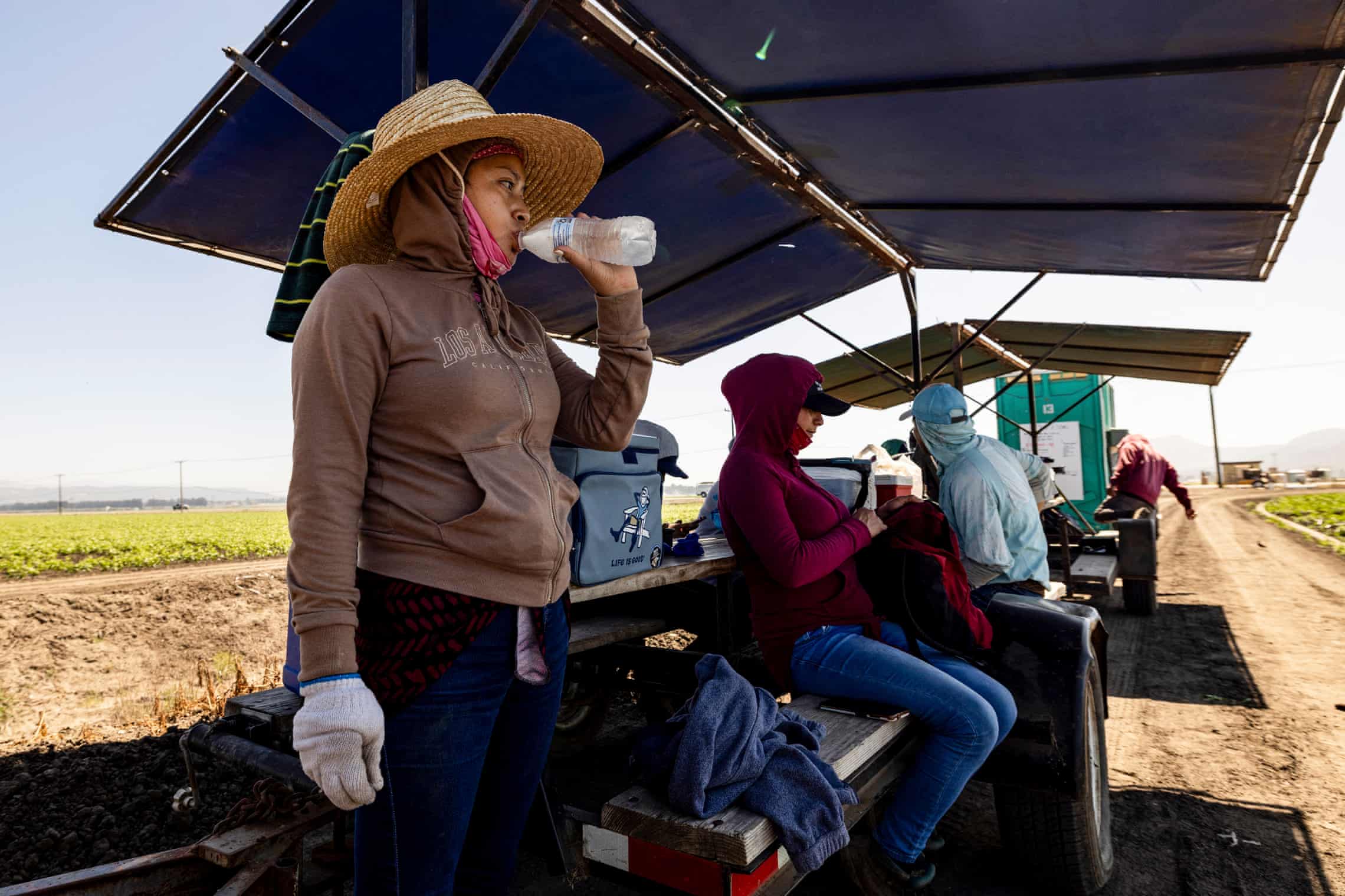 Farm workers in California