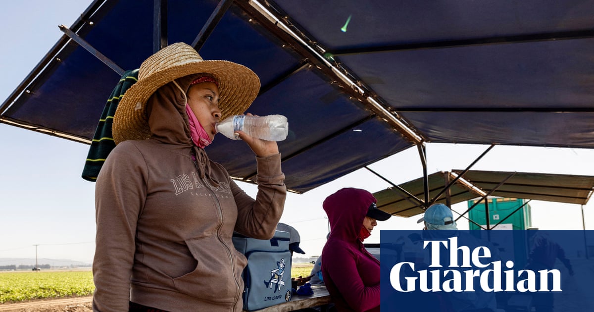 Beating the heat: study explores the search for cool during heatwaves | Extreme heat Beating the heat: study explores the search for cool during heatwaves | Extreme heat