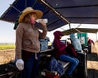 Beating the heat: study explores the search for cool during heatwaves