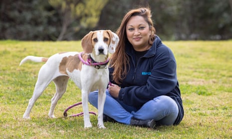Animal care manager at Nadia Peiris at RSPCA Victoria with Bella, a female beagle/harrier cross