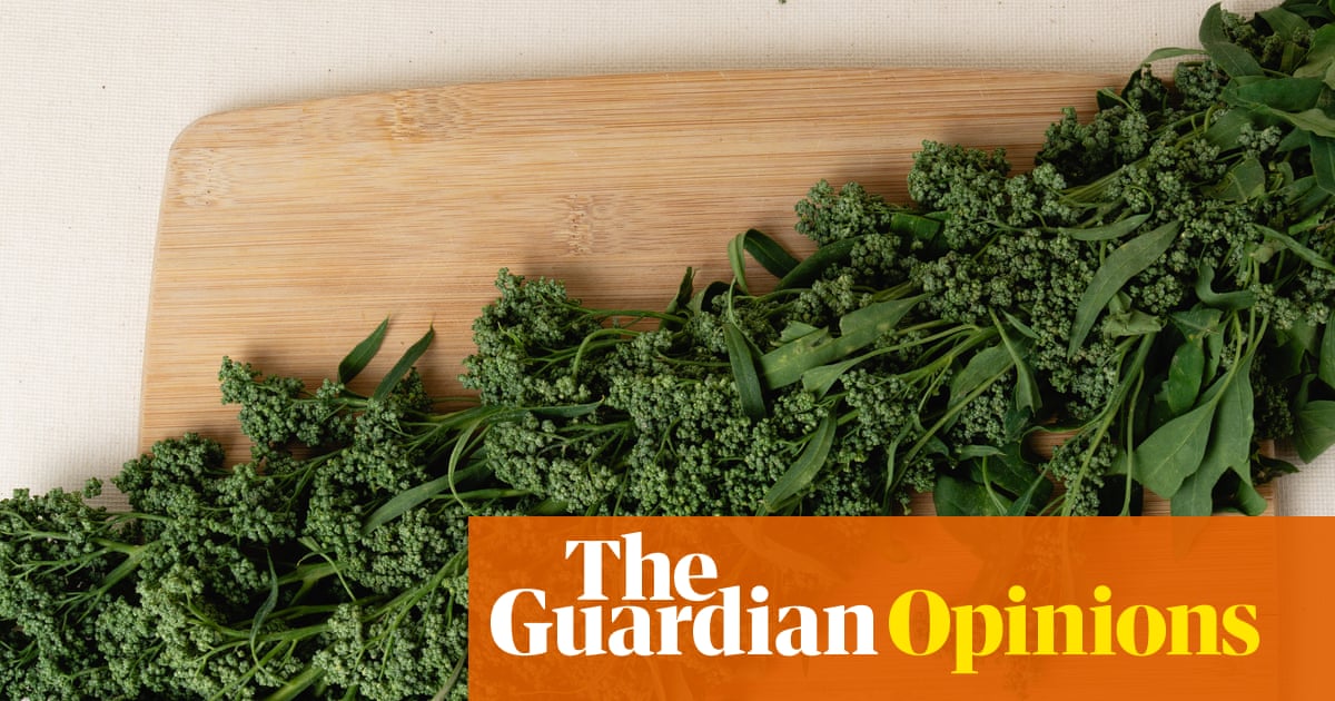 Heard of aztec broccoli? Let me tell you about my favourite new superfood ...