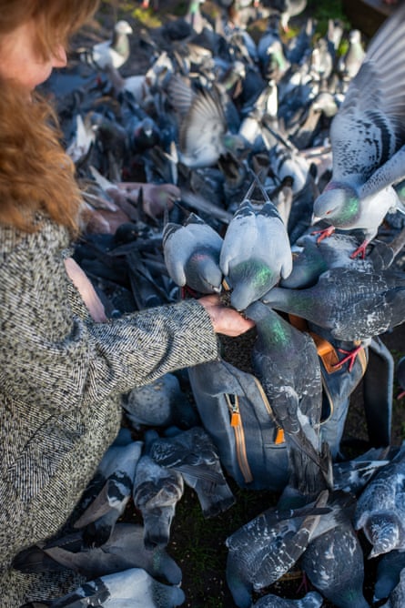 A woman is surrounded by pigeons she is feeding by hand.