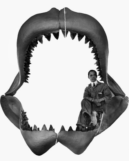 An early 20th century scientist serves as a scale inside a reconstruction of the jaws of a megalodon shark.