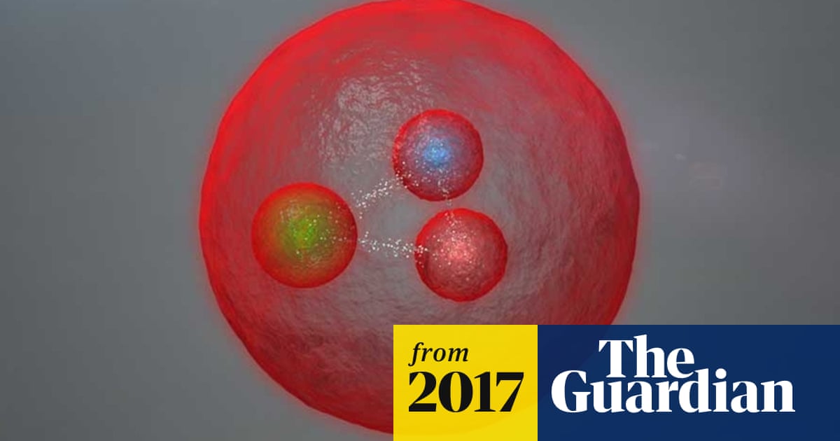 Newly discovered particles, and what's in them