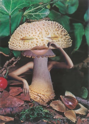 ‘Mindful Mushroom’ by Seana Gavin.