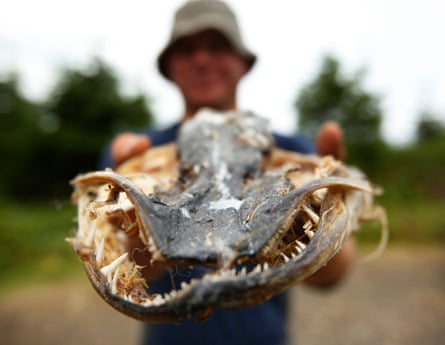 A man holds a large, desiccated fish head towards the camera