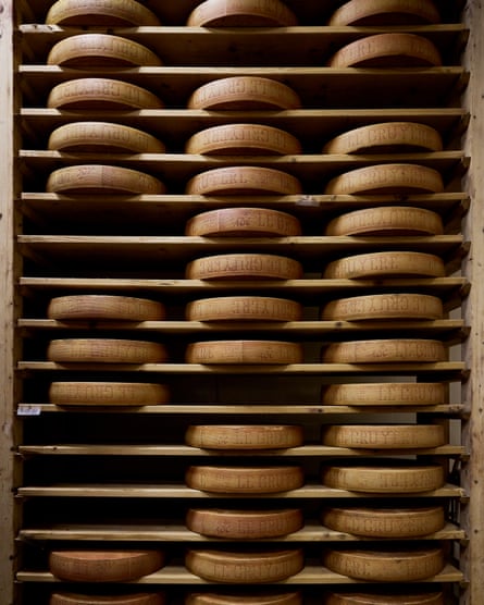 Gruyère cheeses in storage