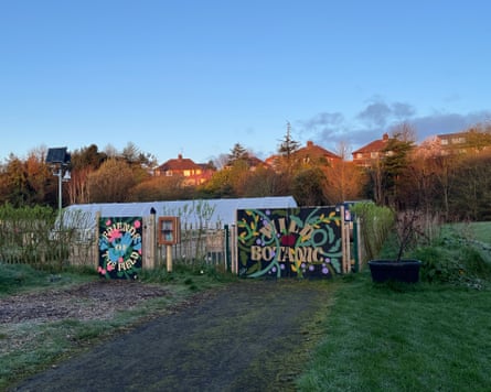 Friends of the Field Community Garden, Lower Botanical Gardens, Belfast