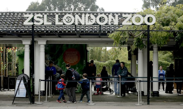 Visitors go in the main entrance of London Zoo.