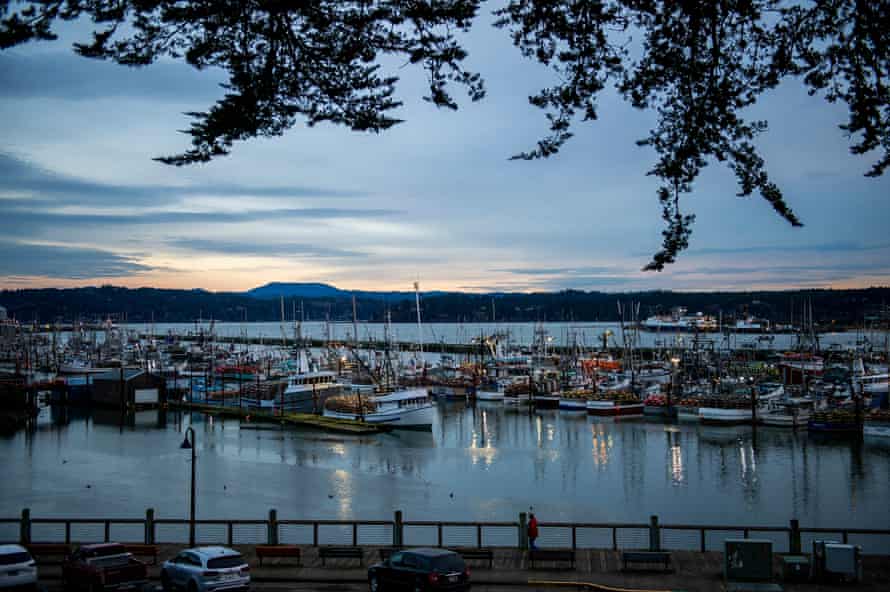 Fishing vessels sit in port in Newport, Ore. on January 7, 2021. Amanda Lucier for The Guardian