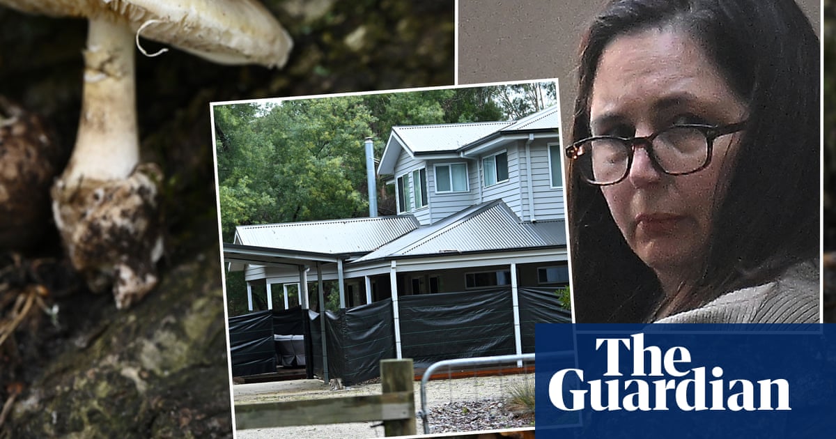 Erin Patterson mushroom murder verdict what happens next?