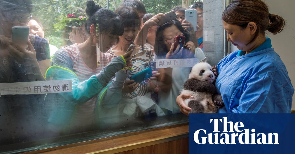 Winners Of 2016 World Press Photo Contest Photos The Weather Channel Articles From The Weather Channel Weather Com