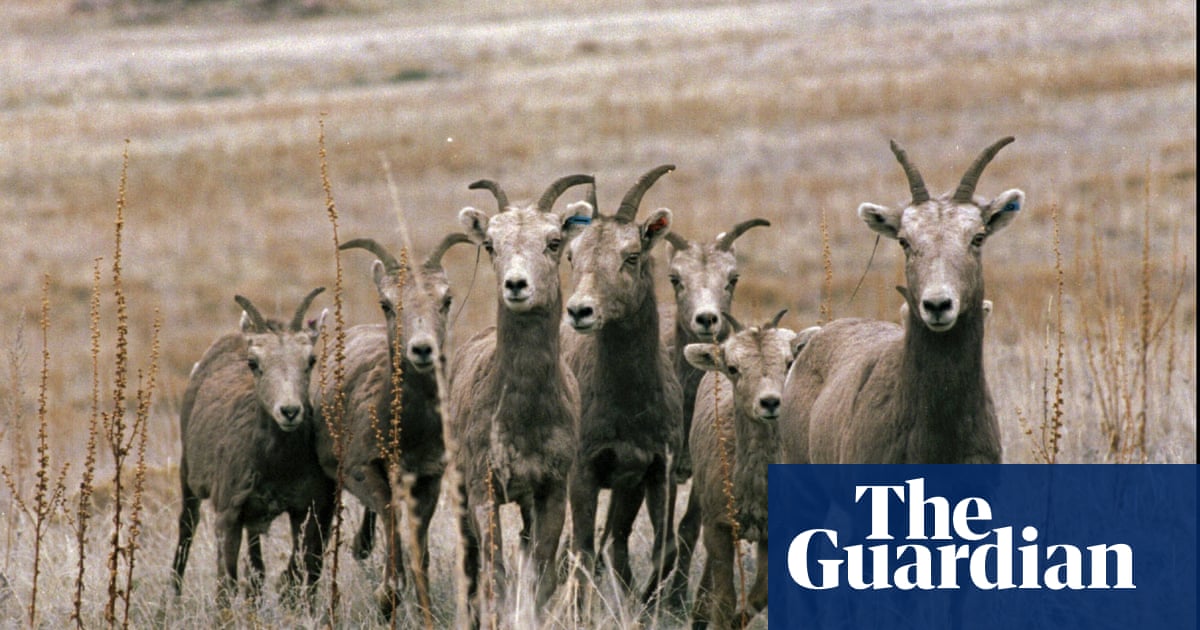 2000.jpg?width=1200&height=630&quality=8