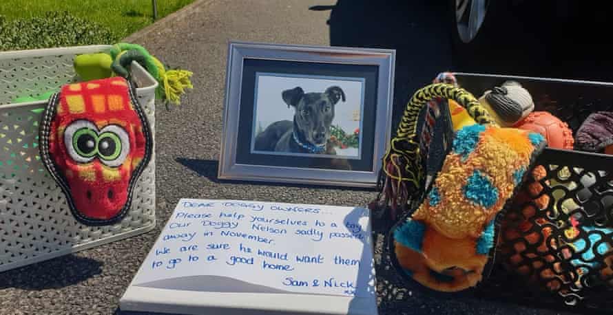 Nicholas Cook’s canine artifact giveaway successful representation of Nelson the lurcher.